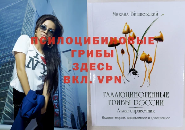 твердый Володарск