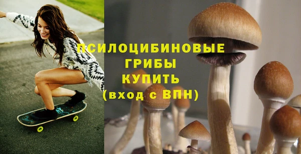 твердый Володарск