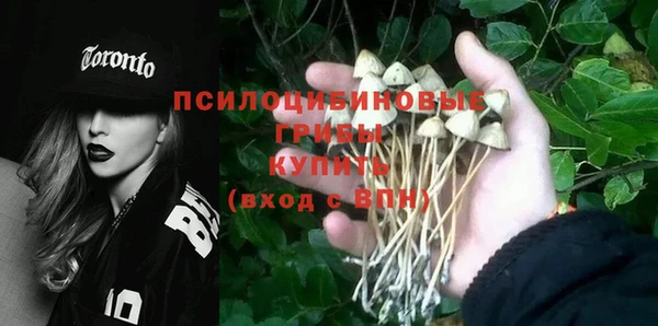 твердый Володарск