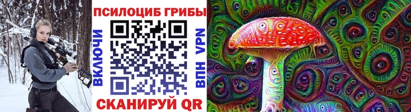 Псилоцибиновые грибы Magic Shrooms  Черкесск 
